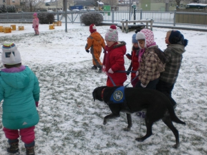 Ramses im Schnee (1)  